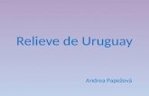Relieve de uruguay