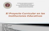 El Proyecto curricular en las Instituciones Educativas