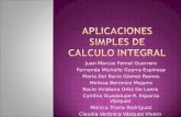 Aplicaciones Simples de Calculo Integral