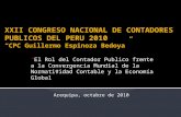 Problemática de las Mypes en el Perú   2009 - Trabajo de Investigacion