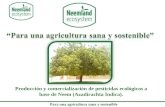 II Premio Joven Empresario con Compromiso Social BCja ULL: "Neemland Ecosystem SARL" 2010
