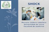 Shock hipovolemico y choque septico