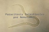 Parasitos por nematodos