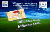 Influenza  Salud3
