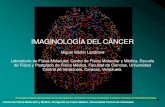Imaginologia del cancer