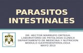 Clase parasitosis 2010