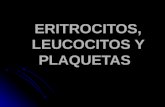 Eritrocitos, leucocitos y plaquetas