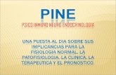 Presentación Pine.