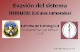 Evasión del sistema inmune (células tumorales)