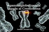 Agammaglobulinemia ligada al cromosoma x