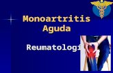 Monoartritis Aguda Terminado
