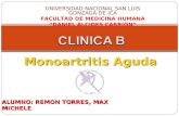 Monoartritis aguda