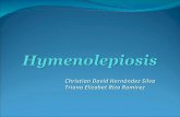 Hymenolepis nana y diminuta