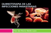 Quimioterapia de las infecciones parasitarias