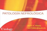 Patología Nefrológica
