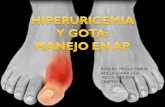 (2013-06-11) Hiperuricemia y gota: manejo en Atención Primaria (ppt)