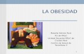 Obesidad revisión