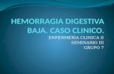 Hemorragia digestiva baja. presentacion.
