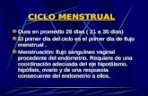 Ciclo menstrual amenorreas