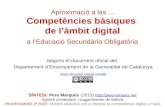 Competències bàsiques de l'àmbit digital a l'ESO
