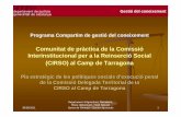 Presentació del Pla estratègic de la CoP CIRSO Tarragona