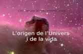 Cmc tema 2 origen i evolució de l'univers i la vida