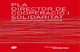 Pla director de cooperació i solidaritat 2009