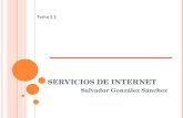 Tema 2.1 Internet Y Sus Servicios