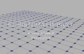 El sistema límbico