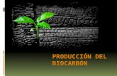Producción del Biocarbón