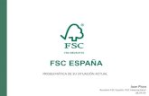 Situación y problemática de FSC España 280909