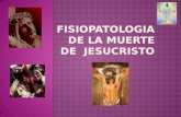 Fisiopatologia  De La Muerte De  Jesucristo