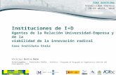 Instituciones de I+D - Agentes de la Relación Universidad-Empresa y de la viabilidad de la innovación radical: Caso Instituto Stela