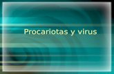 Procariotas y virus