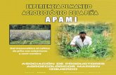 Piña Agroecologica