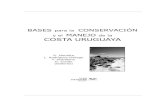 Biología, Ecología y Ecología de las Tortugas Marinas en la Zona Costera Uruguaya.