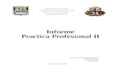 Informe Practica Profesiaonal II