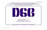 Quimica I ( SEP DGB México Bachillerato)