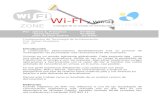 Fundamentos Tecnologia de La ion -Ensayo Sobre Wifi