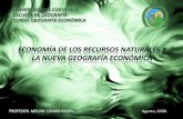 Economia de Los Recursos Naturales y La Nueva Geografía Económica