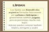 Lipidos[1] CH