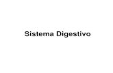11 - Sist Digestivo