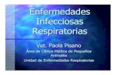 Enfermedades Respiratorias Infecciosas