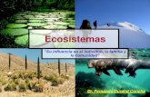 3-Ecosistemas-cadena trofica-ciclo biogeoquimico 2008