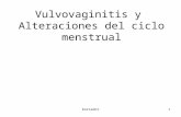 Trastornosdelciclomenstrual borrador