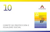 Comite de Protección e Igualdad Social