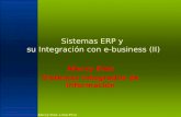 SII12 - Sistemas ERP y ebusiness II