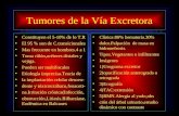 Tumor via Excretora Vejiga..imagenes...radiología e imagen clínica