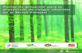 Pautas de actuación para la prevención de riesgos laborales en el Sector Forestal