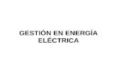 GestiÓn en EnergÍa ElÉctrica